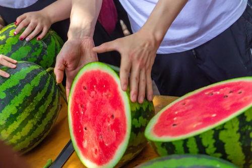 南特师吃瓜,揭秘校园里的那些“瓜”