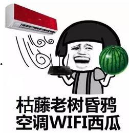 吃瓜阿呆也长肉