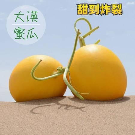 武威哪里吃蜜瓜