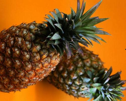 吃瓜大菠萝,揭秘瓜界奇才的传奇故事