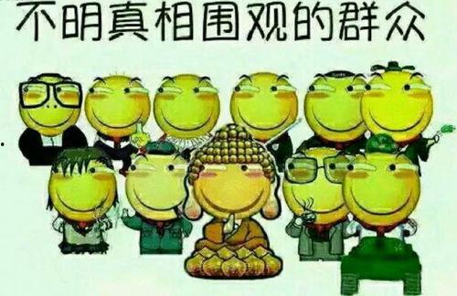 吃瓜群众孙大锤,吃瓜群众的麻辣点评