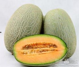 肺结核可以吃哈密瓜吗,哈密瓜的适宜性探讨