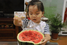 热梗吃瓜群众,揭秘“吃瓜群众”背后的网络现象