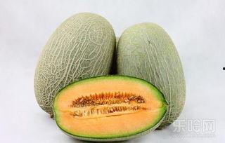 孕妇吃哈密瓜拉不出尿,孕期哈密瓜摄入与尿潴留现象解析