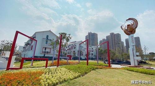 未来社区吃瓜,瓜果飘香，共享美好生活