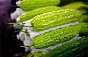 赖瓜怀孕可以吃么,赖瓜，孕妇的安心之选