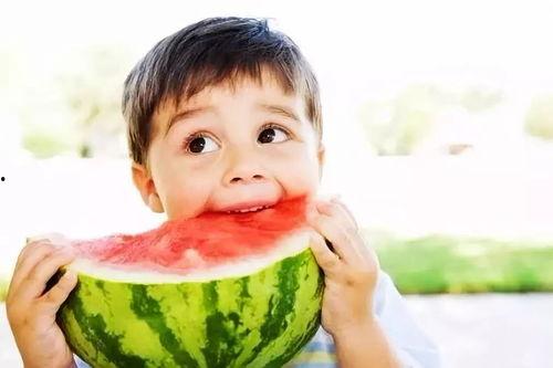 呱瓜吃西瓜,呱瓜的甜蜜西瓜冒险之旅