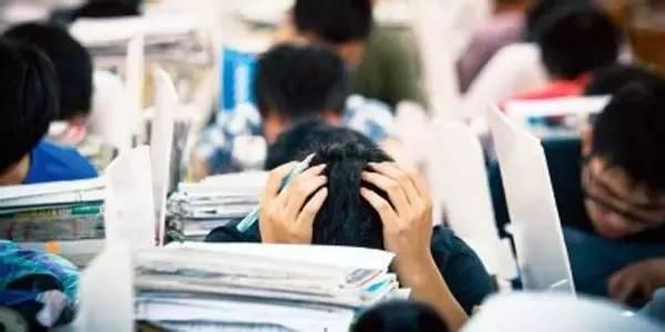 高考解压母亲吃瓜,母亲吃瓜背后的温馨故事