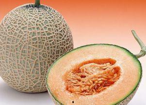 吊完水可以吃哈密瓜吗,吊水后立即享用哈密瓜的适宜性探讨