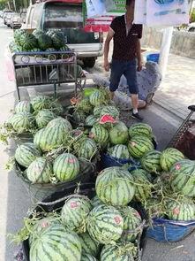 承德热门吃瓜事件