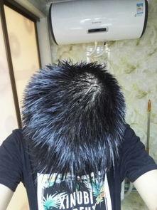 剪头发和吃瓜,揭秘发型与美食的奇妙融合