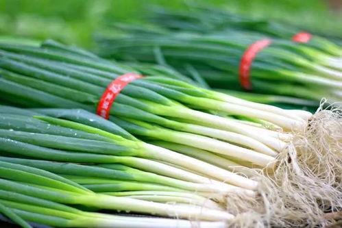 云木吃瓜链接,一场网络热议背后的故事