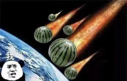 快乐吃瓜文案句子图片,跟随文案图片感受生活乐趣