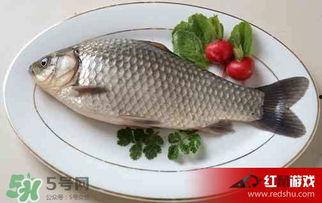 鲫鱼吃蜜瓜吗怎么吃,创新烹饪新体验