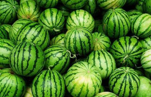 夏日必吃的瓜,盘点夏日必吃的瓜类美食