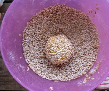 芝麻瓜应该吃哪里,揭秘最佳食用部位