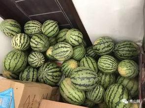 介休吃瓜视频环环,环环相扣的趣味追踪