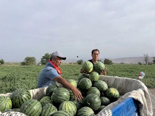 吃瓜航埠初中,青春校园里的欢乐时光