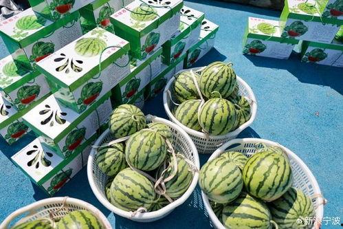 小富吃瓜,揭秘娱乐圈那些不为人知的幕后故事