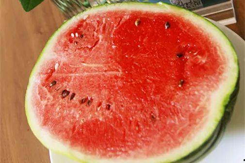 什么动物吃田瓜