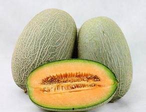 不能和什么一起吃哈密瓜,揭秘不能与哪些食物同食