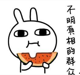 吃瓜在隔壁后续,真相大白，疑云散去