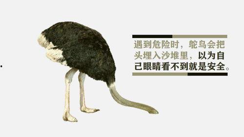 吃瓜心态鸵鸟心态,揭秘两种独特心态的趣味解读  第2张