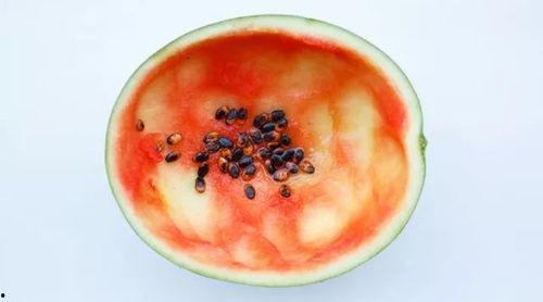 自制吃瓜,夏日清凉美食新体验  第2张