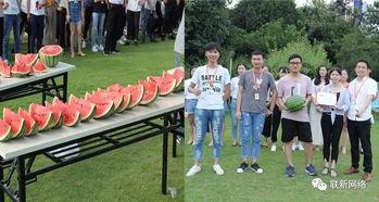 吃瓜季军,揭秘网络热议背后的故事