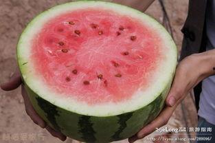 吃土瓜的音乐,唤醒心灵深处的共鸣  第2张