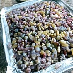 白泽科技园吃瓜,揭秘吃瓜背后的科技盛宴