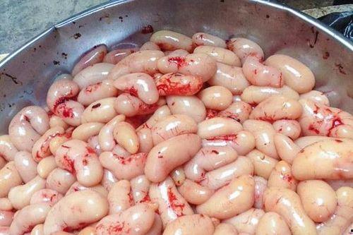 刘大瓜吃 牛鞭,探寻民间美食背后的故事