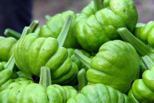 姜柄瓜可以怎么吃,创意烹饪指南 第2张 姜柄瓜可以怎么吃,创意烹饪指南 第2张