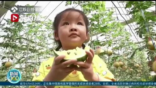 吃瓜江苏奔现,揭秘网红背后的真实生活  第3张