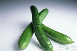 本瓜怎吃最好,本瓜美味吃法大揭秘