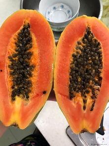 本瓜怎吃最好,本瓜美味吃法大揭秘  第3张