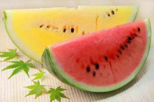 吃瓜高端话语大全,解锁高端话语大全，轻松成为社交圈焦点  第2张