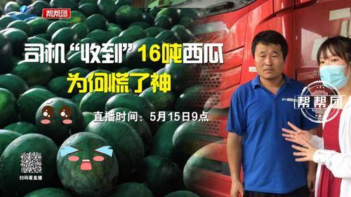 吃瓜抢戏  第3张