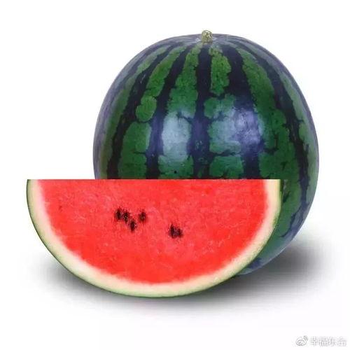 51吃瓜免费吃瓜,揭秘娱乐圈幕后故事